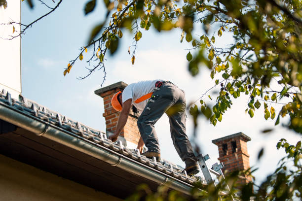 Sealant for Roof in Jamestown, TN